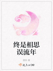 终是相思误流年